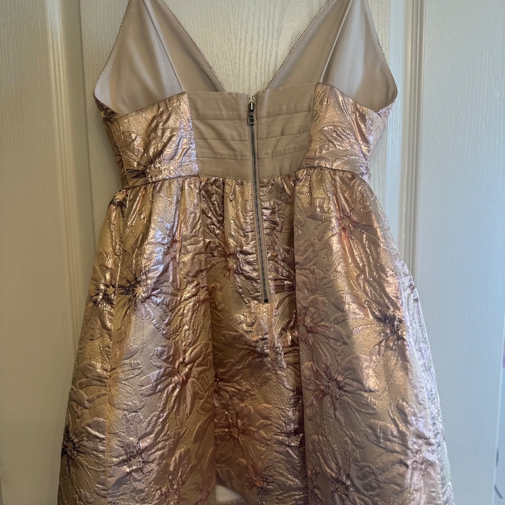 Dress - Picture 4 of 5